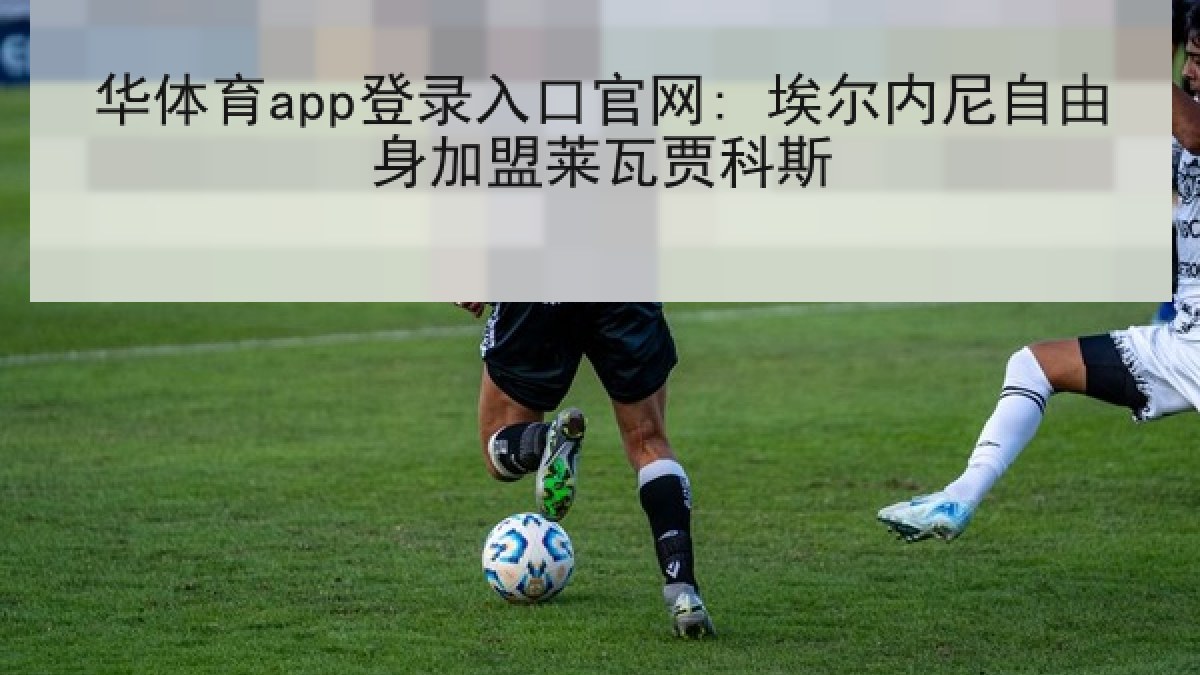 华体育app登录入口官网: 埃尔内尼自由身加盟莱瓦贾科斯
