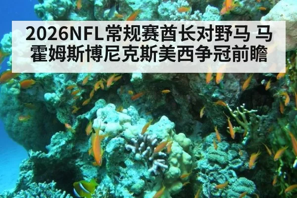 2026NFL常规赛酋长对野马 马霍姆斯博尼克斯美西争冠前瞻